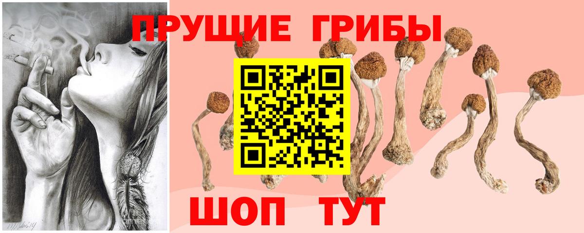 Галлюциногенные грибы прущие грибы Верхняя Салда